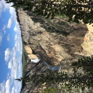 Meet your Posher, Kennedy